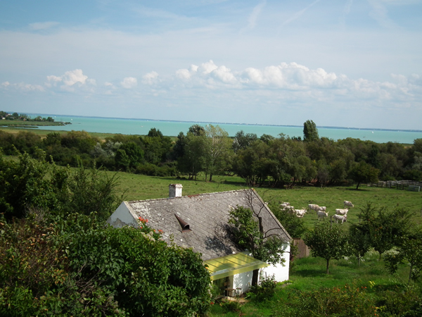 Balaton-Romantik zwischen Balatonf�red und Csopak
